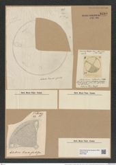 Aulacodiscus lollittianus var. jutlandicus (Kitton.) Rattr. (de-Toni-Nr.: Genus 182, Species 4563) Zeichnungen Sammlung Grunow Nr. 8185 (NHMW-BOT-W0377562)